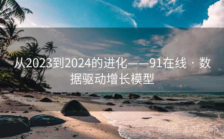 从2023到2024的进化——91在线 · 数据驱动增长模型