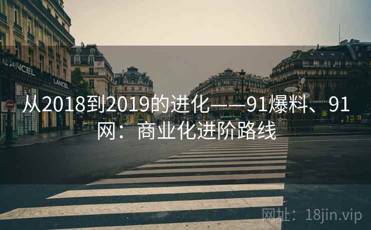 从2018到2019的进化——91爆料、91网：商业化进阶路线