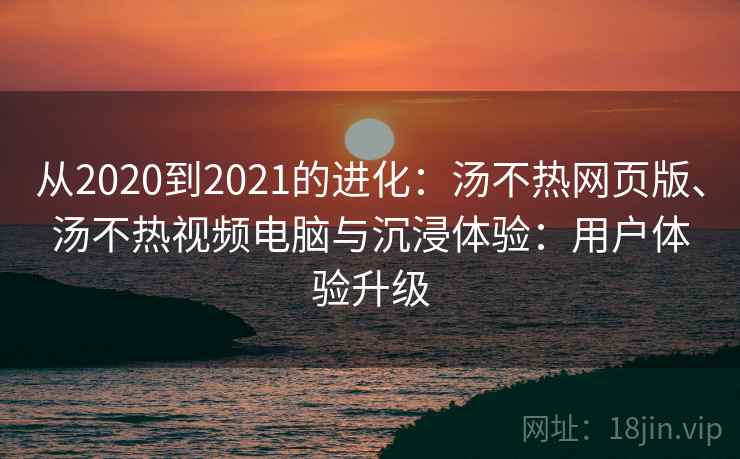 从2020到2021的进化：汤不热网页版、汤不热视频电脑与沉浸体验：用户体验升级