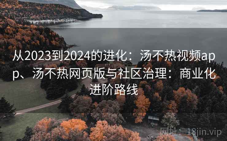 从2023到2024的进化：汤不热视频app、汤不热网页版与社区治理：商业化进阶路线