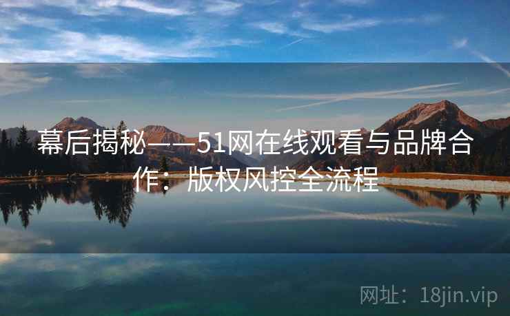 幕后揭秘——51网在线观看与品牌合作：版权风控全流程