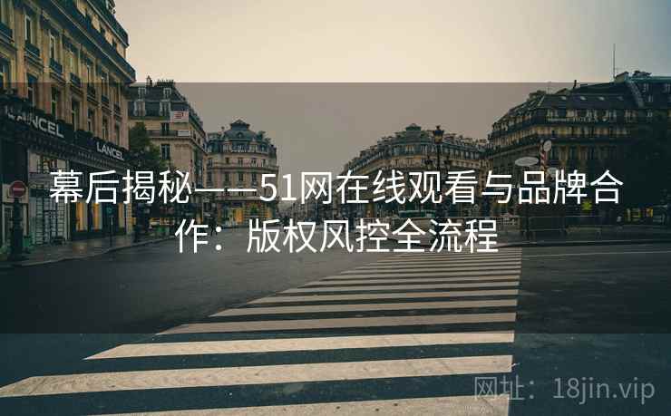 幕后揭秘——51网在线观看与品牌合作：版权风控全流程