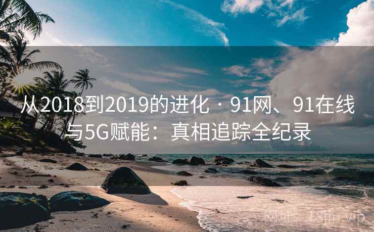 从2018到2019的进化 · 91网、91在线与5G赋能：真相追踪全纪录