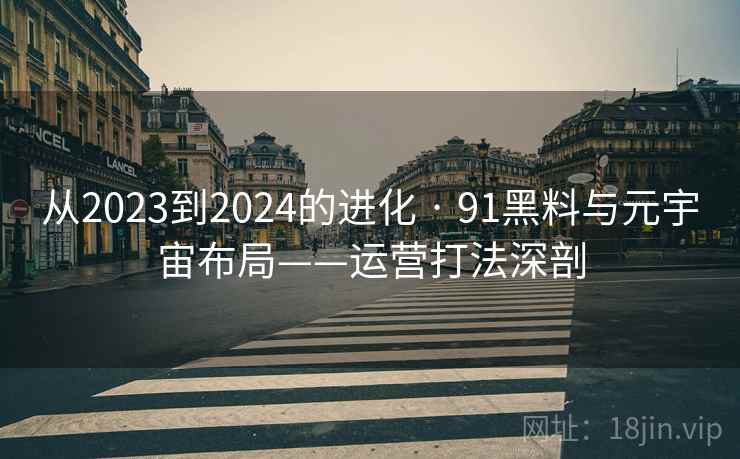 从2023到2024的进化 · 91黑料与元宇宙布局——运营打法深剖