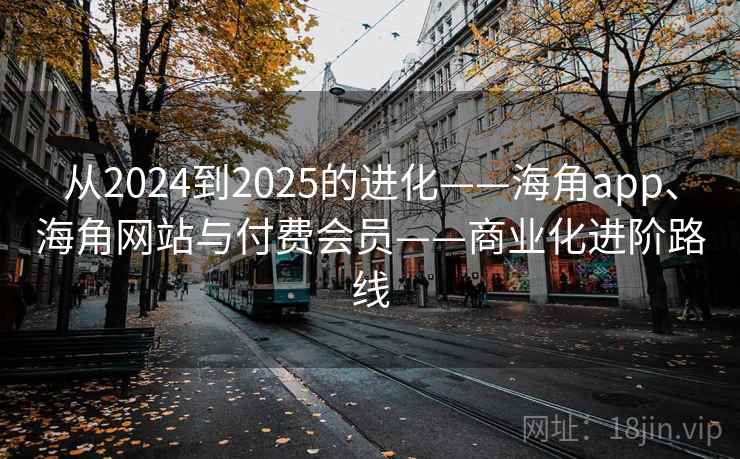 从2024到2025的进化——海角app、海角网站与付费会员——商业化进阶路线