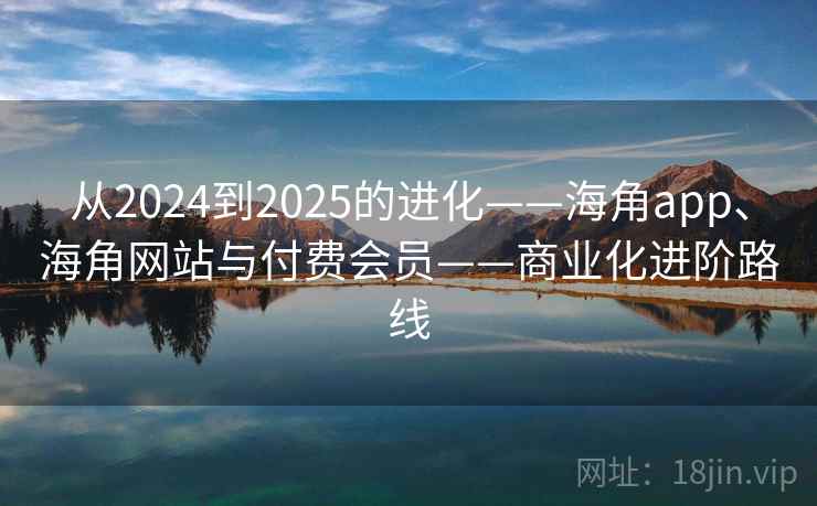 从2024到2025的进化——海角app、海角网站与付费会员——商业化进阶路线