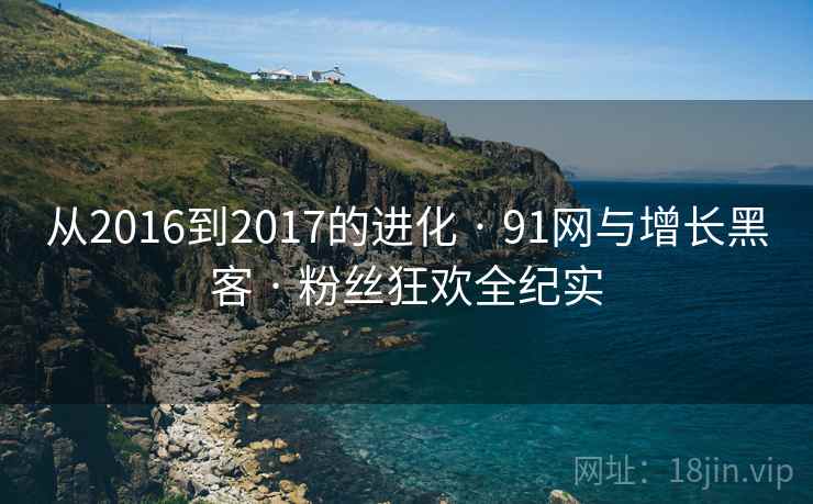 从2016到2017的进化 · 91网与增长黑客 · 粉丝狂欢全纪实