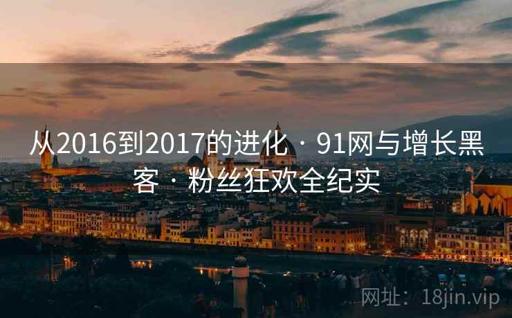 从2016到2017的进化 · 91网与增长黑客 · 粉丝狂欢全纪实