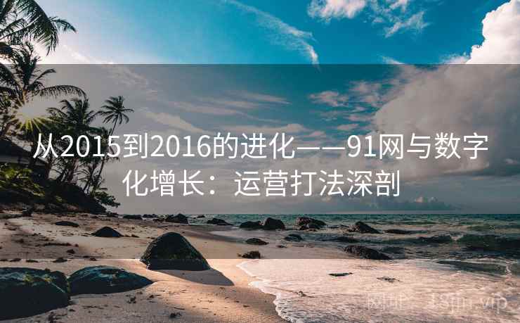 从2015到2016的进化——91网与数字化增长：运营打法深剖