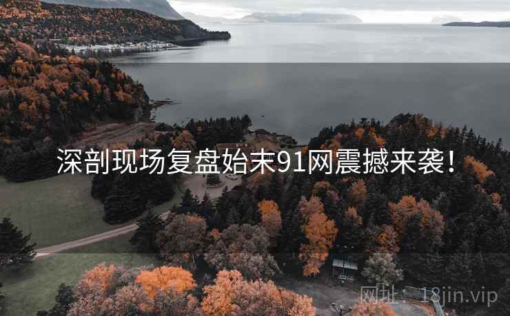 深剖现场复盘始末91网震撼来袭！