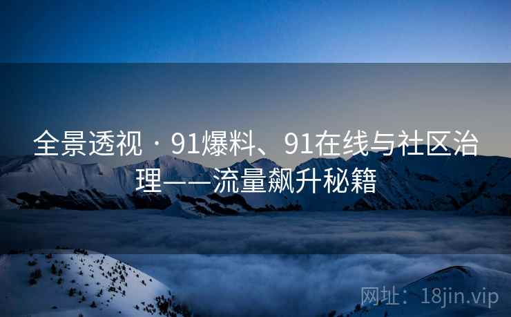 全景透视 · 91爆料、91在线与社区治理——流量飙升秘籍