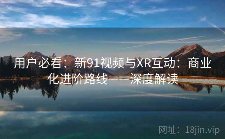 用户必看：新91视频与XR互动：商业化进阶路线——深度解读