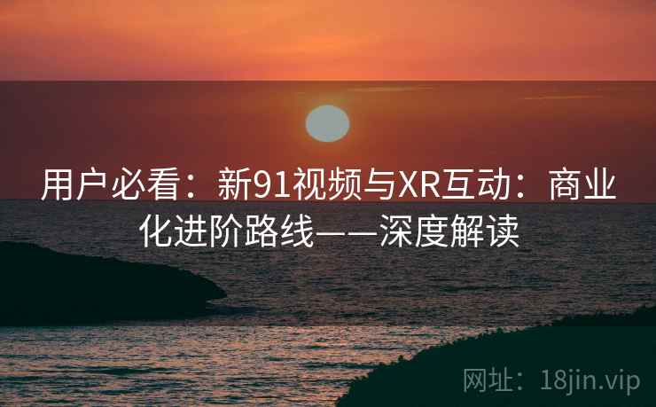 用户必看：新91视频与XR互动：商业化进阶路线——深度解读