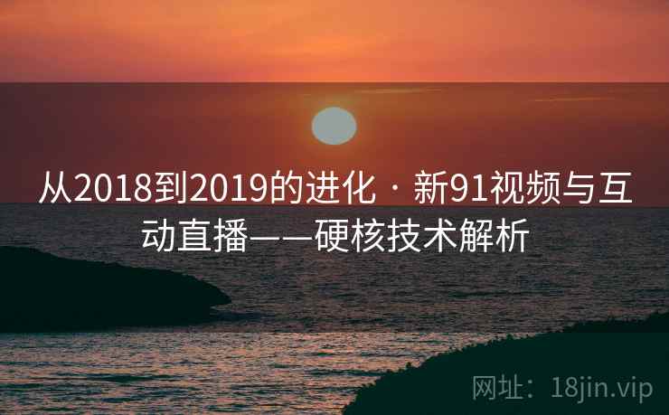 从2018到2019的进化 · 新91视频与互动直播——硬核技术解析