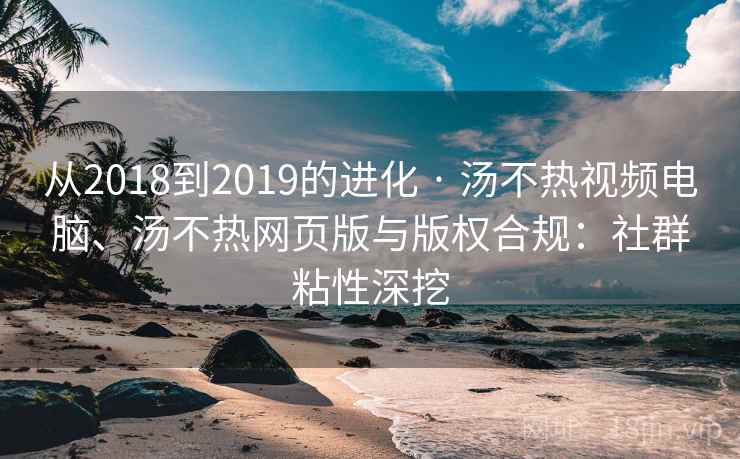 从2018到2019的进化 · 汤不热视频电脑、汤不热网页版与版权合规：社群粘性深挖