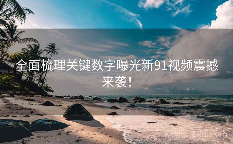 全面梳理关键数字曝光新91视频震撼来袭！