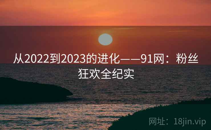 从2022到2023的进化——91网：粉丝狂欢全纪实