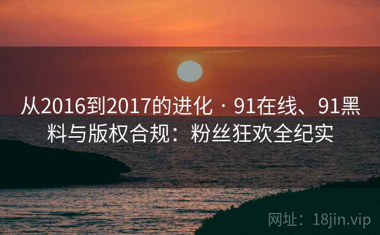 从2016到2017的进化 · 91在线、91黑料与版权合规：粉丝狂欢全纪实