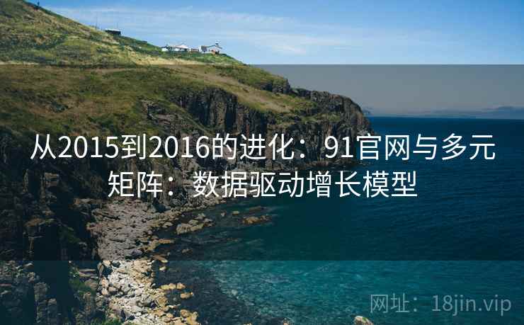 从2015到2016的进化：91官网与多元矩阵：数据驱动增长模型