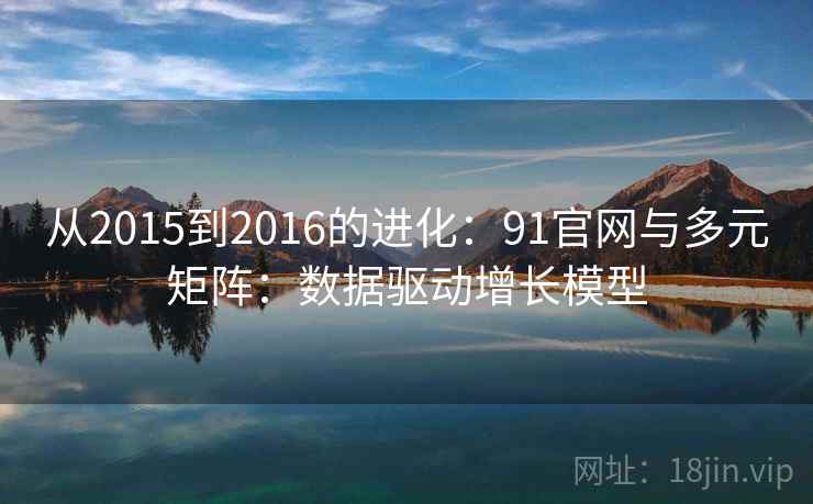 从2015到2016的进化：91官网与多元矩阵：数据驱动增长模型